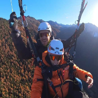 Image pilote - Dominique